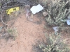 F0A2E72D-F2C3-4C70-BA0C-CD4035EA6FFD_1_105_c